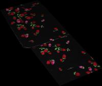 いちご　輪郭ラメ入り　黒系